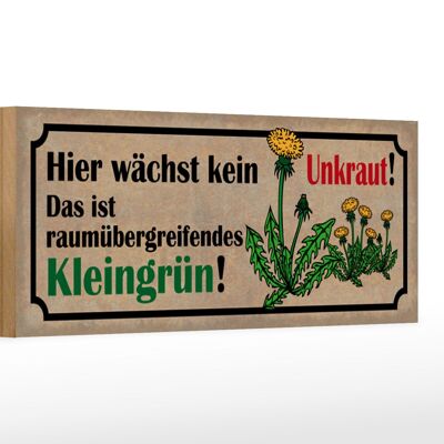 Holzschild Spruch 27x10cm wächst kein Unkraut Das ist Kleingrün