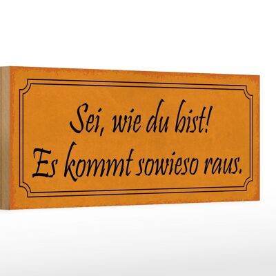 Holzschild Spruch 27x10cm sei wie du bist es kommt sowieso