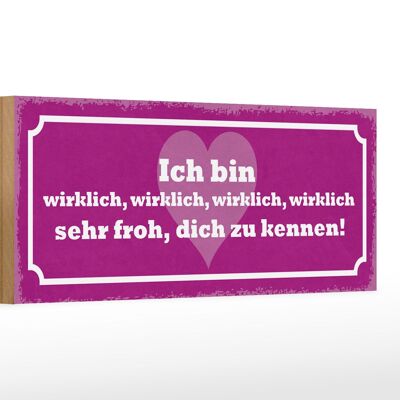 Holzschild Spruch 27x10cm bin wirklich froh dich zu kennen