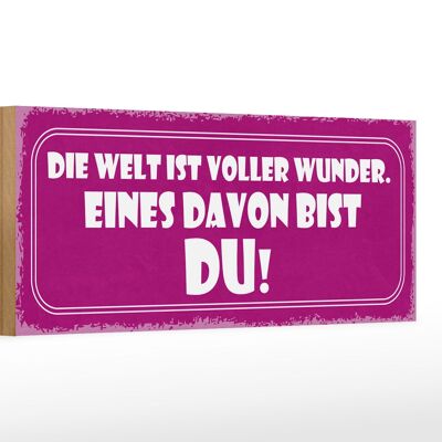 Holzschild Spruch 27x10cm Welt voller Wunder eines bist DU