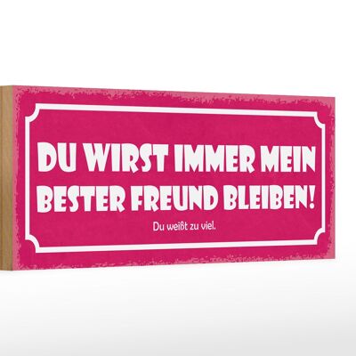 Holzschild Spruch 27x10cm du immer mein bester Freund