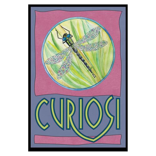 Puzzle Picoli "Libelle", Curiosi Mini-Puzzle im Streichholzschachtel-Format mit 33 Teilen