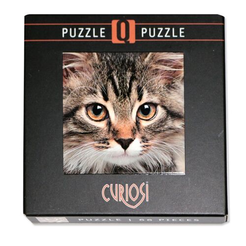quadratisches Mini-Puzzle Q "Animal 6" Katze