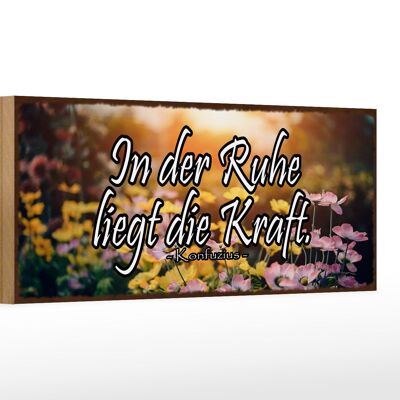 Holzschild Spruch 27x10cm in der Ruhe liegt die Kraft