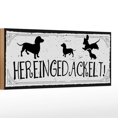 Holzschild Spruch 27x10cm Hereingedackelt!