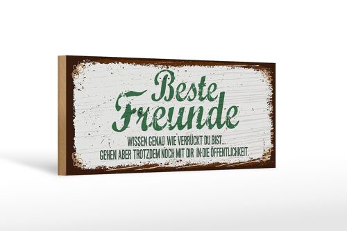 Holzschild Spruch Beste Freunde verrückt wissen genau 27x10cm