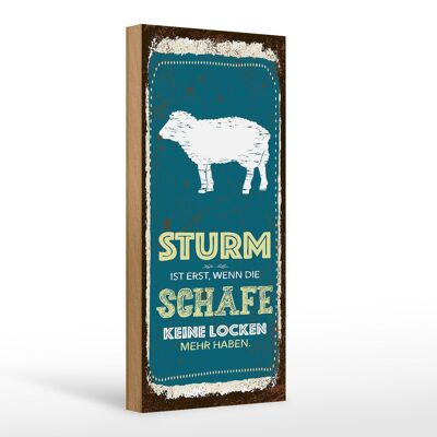 Holzschild Spruch Sturm wenn Schafe keine Locken 10x27cm