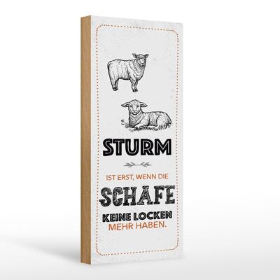 Holzschild Spruch lustig Sturm wenn Schafe Locken 10x27cm