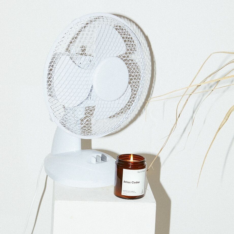 Cedro dell'Atlante | Candela di cera di soia 170ml [6oz]