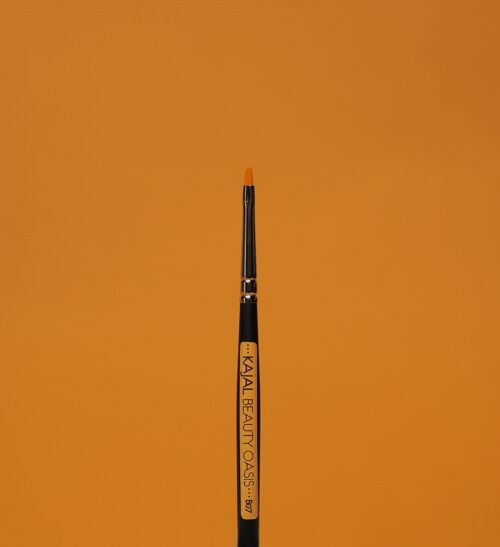 KAJAL BRUSH B07