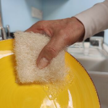 NOUVEAU Tampon mince pour la vaisselle | Coussin de vaisselle Loofah | Paquet de 4 3