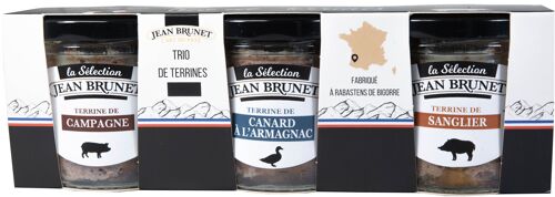 Lot 3 x 90 g Terrines (Campagne, Canard à l'Armagnac, Sanglier).