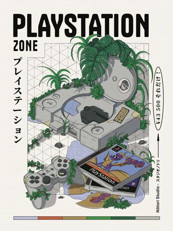 Playstation Zone print 2