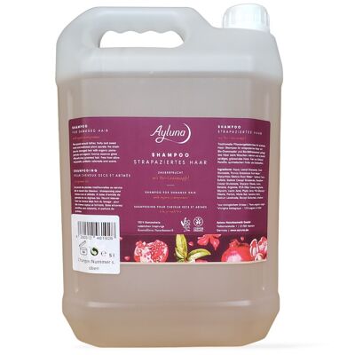 Shampoo per capelli danneggiati Magic Fruit in tanica da 5 l