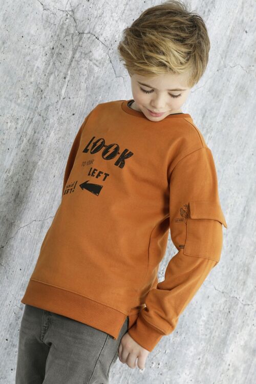 Brown Boy's Sweatshirt Look Ref: 83839