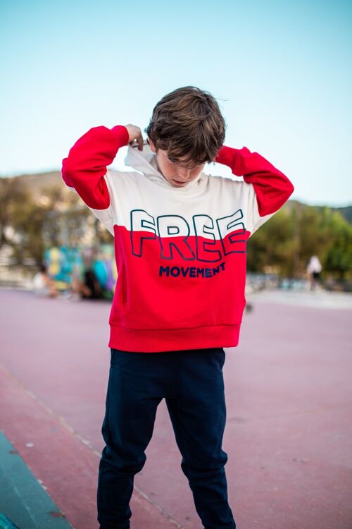 Free red boy's sweatshirt Ref: 83431