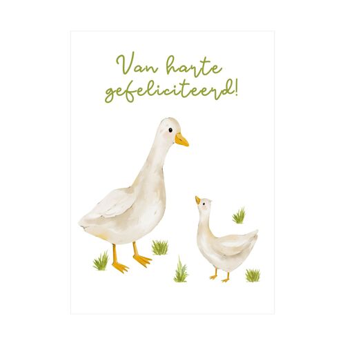 Postcard - Happy Birthday - Ducks