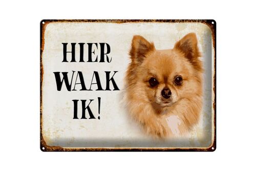 Blechschild Spruch 40x30 cm holländisch Hier Waak ik Chihuahua Deko Schild