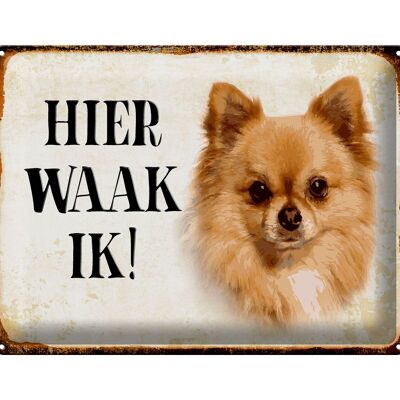 Targa in metallo con scritta "Dutch Here Waak ik Chihuahua" 40x30 cm. Targa decorativa