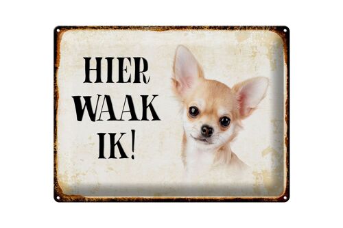 Blechschild Spruch 40x30 cm holländisch Hier Waak ik Chihuahua glatt Deko Schild