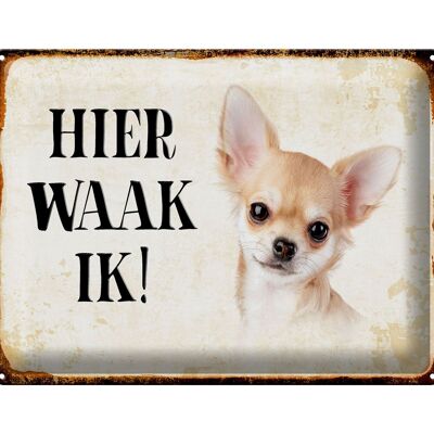 Letrero de chapa con texto "Dutch Here Waak ik Chihuahua", 40x30 cm, letrero decorativo liso