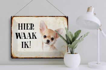 Panneau en étain avec inscription « Dutch Here Waak ik Chihuahua », panneau décoratif lisse, 40x30 cm 3