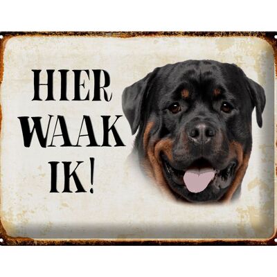 Letrero de chapa con texto "Holandés aquí Waak ik Rottweiler" 40x30 cm