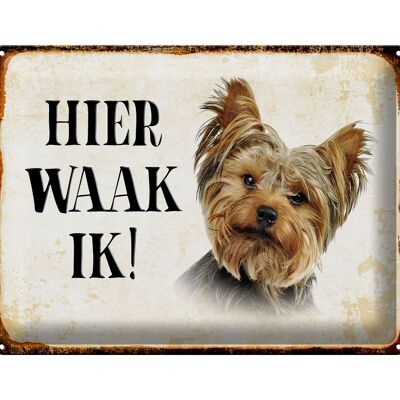 Cartel de chapa con texto "Holandés aquí Waak ik Yorkshire Terrier" 40x30 cm