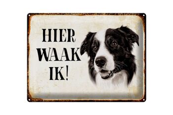 Panneau en étain avec inscription « Dutch Here Waak ik Border Collie », 40x30 cm, panneau décoratif 1