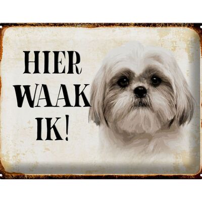 Blechschild Spruch 40x30 cm holländisch Hier Waak ik Shih Tzu Deko Schild