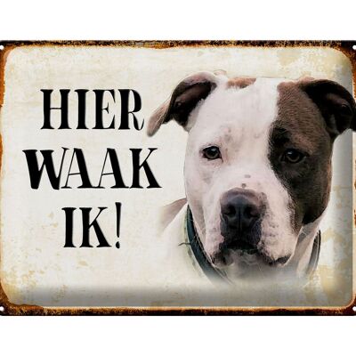 Blechschild Spruch 40x30 cm holländisch Hier Waak ik American Pitbull Terrier
