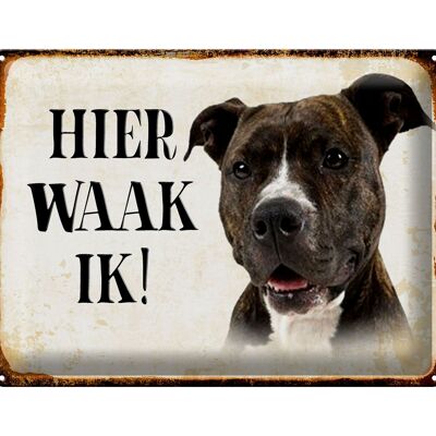 Blechschild Spruch 40x30 cm holländisch Hier Waak ik Pitbull Terrier Deko Schild