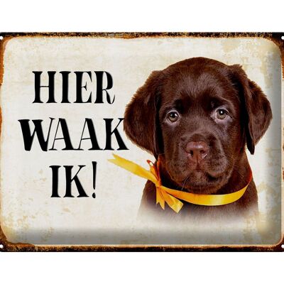 Blechschild Spruch 40x30 cm holländisch Hier Waak ik Labrador Puppy Deko Schild