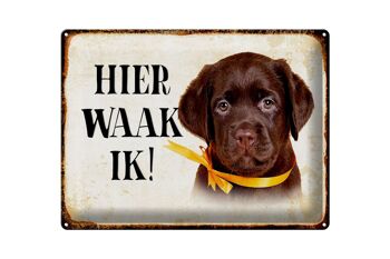Panneau décoratif en étain avec inscription « Dutch Here Waak ik Labrador Puppy », 40x30 cm 1