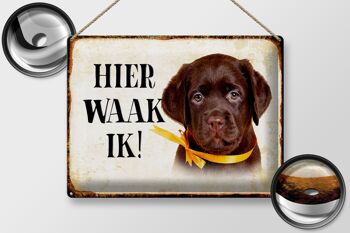 Panneau décoratif en étain avec inscription « Dutch Here Waak ik Labrador Puppy », 40x30 cm 2