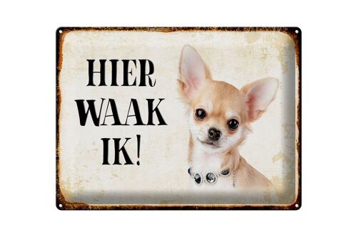 Blechschild Spruch 40x30 cm holländisch Hier Waak ik Chihuahua mit Kette Schild