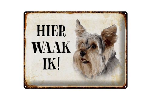 Blechschild Spruch 40x30 cm holländisch Hier Waak ik Yorkshire Terrier Hund Deko