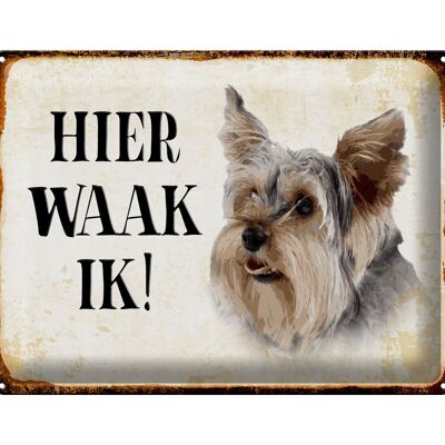 Blechschild Spruch 40x30 cm holländisch Hier Waak ik Yorkshire Terrier Hund Deko