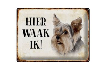 Panneau en étain avec inscription « Dutch Here Waak ik Yorkshire Terrier », décoration pour chien, 40x30 cm 1