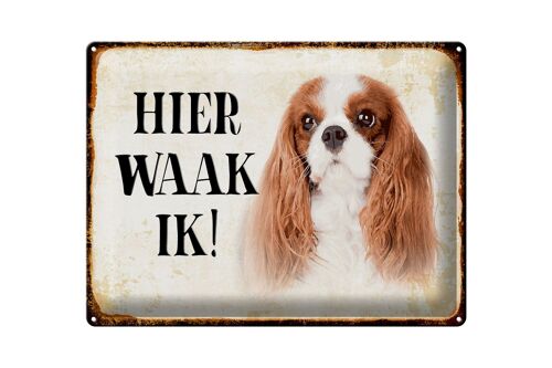 Blechschild Spruch 40x30 cm holländisch Hier Waak ik King Charles Spaniel Schild