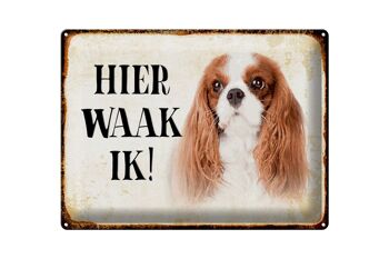 Panneau en étain avec inscription « Dutch Here Waak ik King Charles Spaniel », 40x30 cm 1