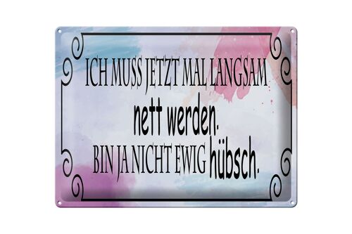 Blechschild Spruch 40x30 cm ich muss mal langsam nett werden Deko Schild