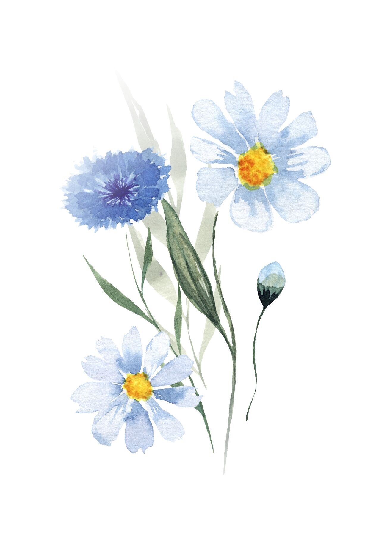 Cartolina - Biglietto vuoto con fiori