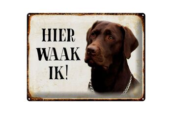 Panneau en étain avec inscription « Dutch Here Waak ik brown Labrador », 40x30 cm 1