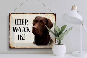 Panneau en étain avec inscription « Dutch Here Waak ik brown Labrador », 40x30 cm 3