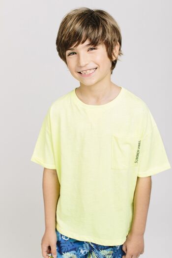 T-shirt garçon citron vert Réf : 79142 1