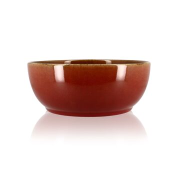 Poke bowl 12.5cm en grès rouge 360 ml 1
