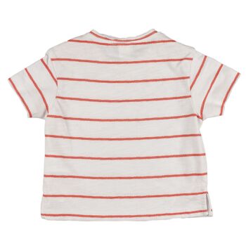 T-shirt bébé corail Réf : 79042 5