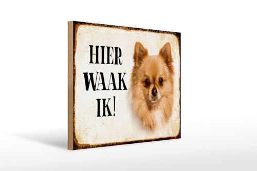 Holzschild Spruch 40x30 cm holländisch Hier Waak ik Chihuahua Deko Schild