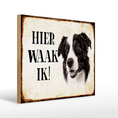 Holzschild Spruch 40x30 cm holländisch Hier Waak ik Border Collie Deko Schild